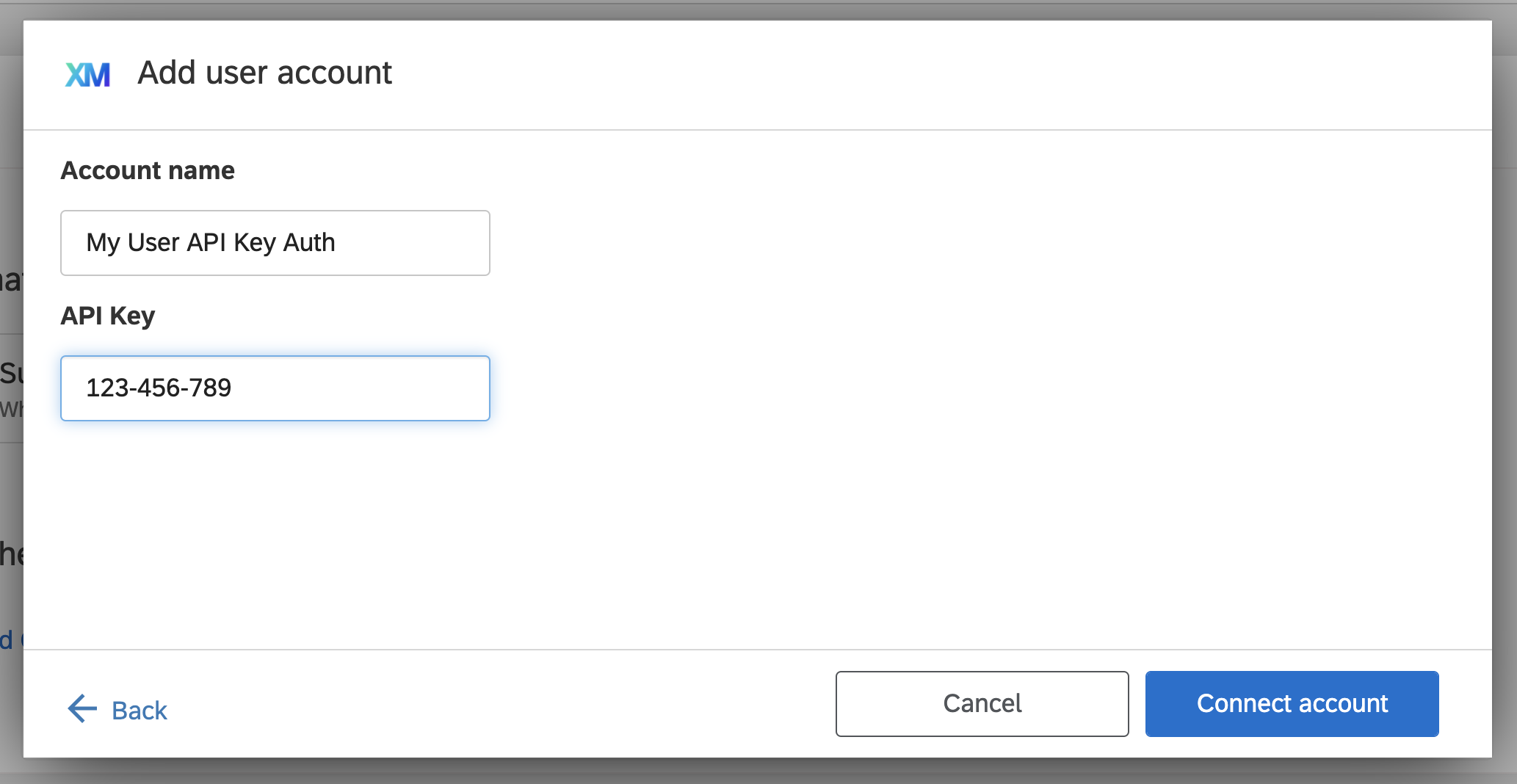 Empty API auth form screen
